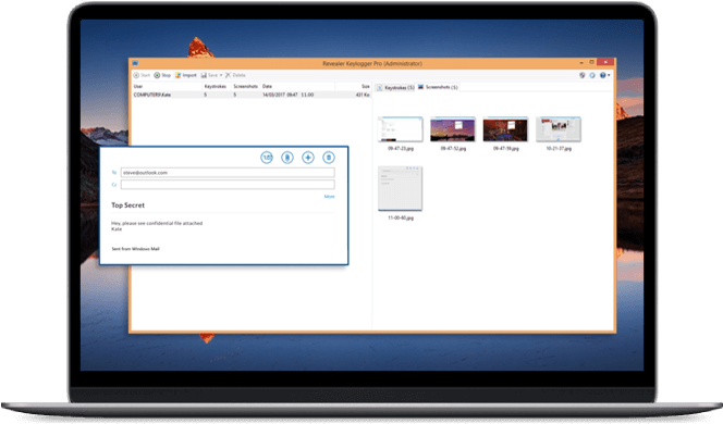 revealer keylogger download gratis